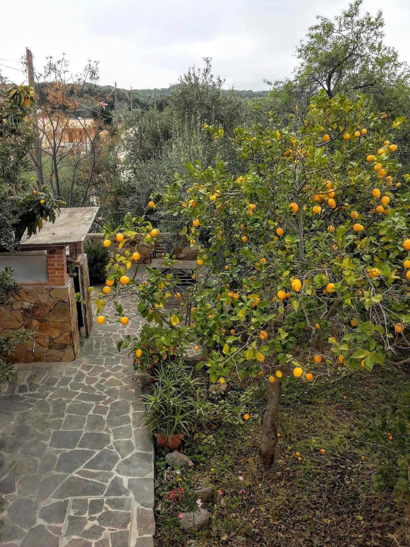 Villa Arancio Giorgio Cala Liberotto Esterno foto